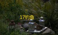 17钓鱼